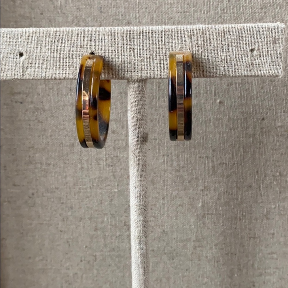Tortoise shell hoops